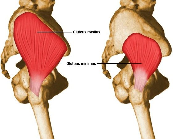 A Simple and Effective Gluteus Medius Exercise - Mike Reinold