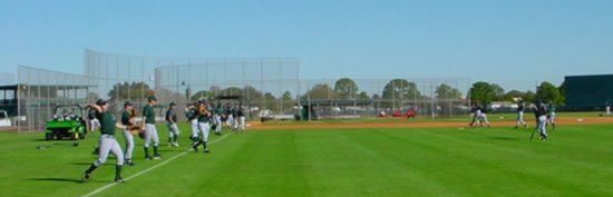 baseball long toss program